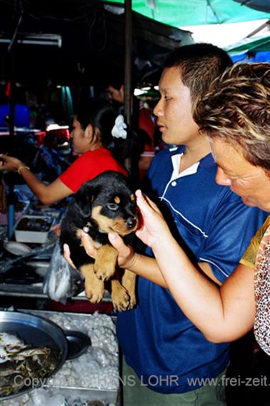 Excursion from Koh Samed, 2003_1285_13_478